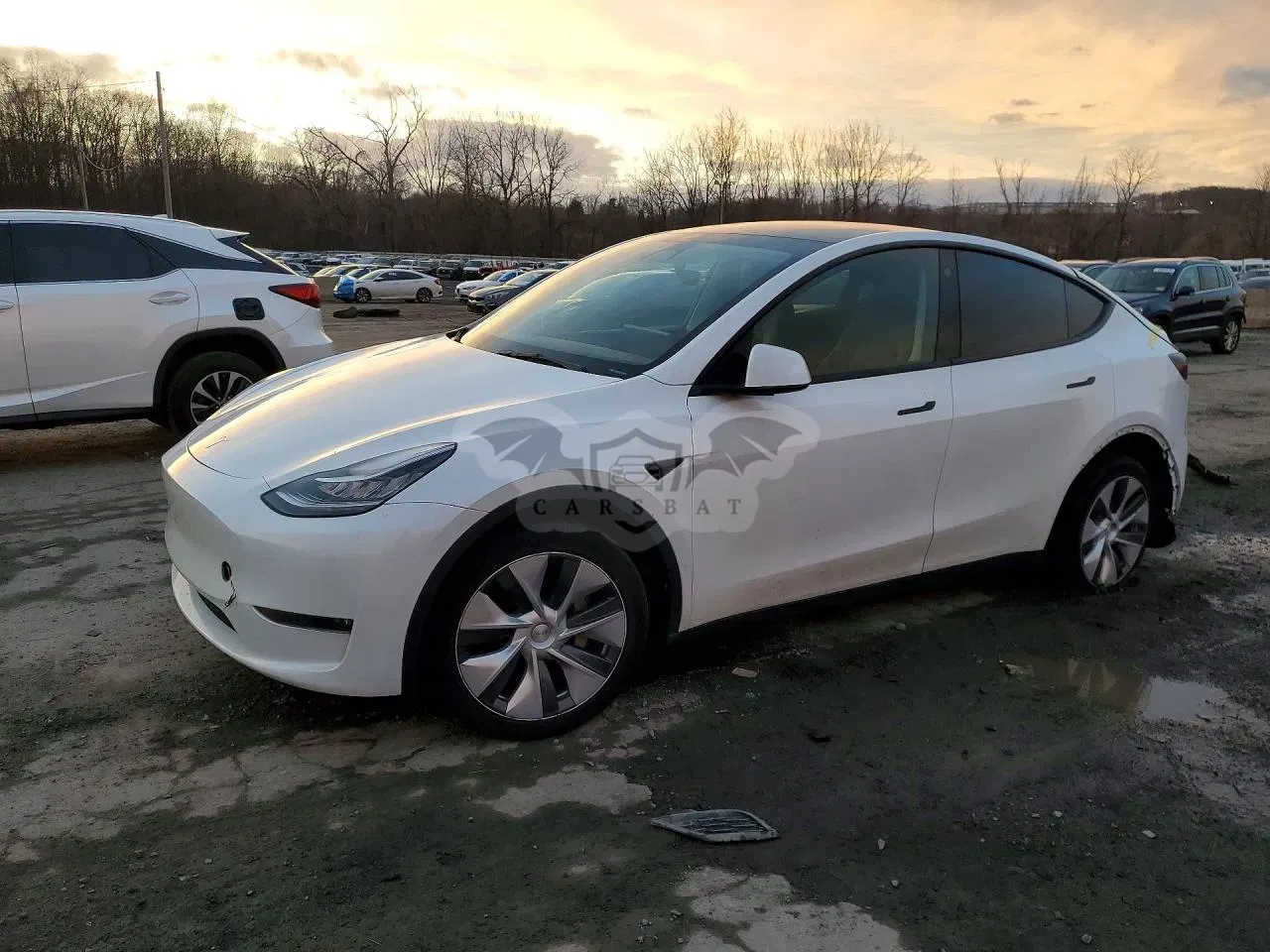 Tesla Model Y 2023