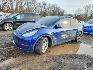Tesla Model Y 2021