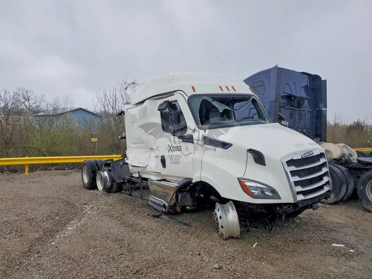 Freightliner Cascadia 12.8L 6 2021