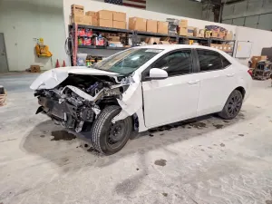 Toyota Corolla 1.8L 4 2019