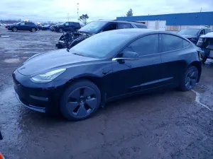 Tesla Model 3 2019