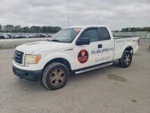 Ford F-150 4.6L 8 2010