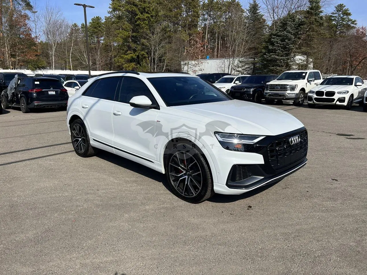 Audi Q8 2019