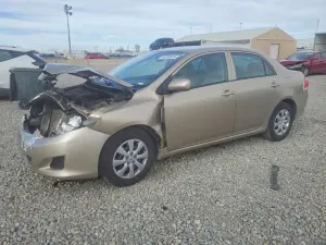 Toyota Corolla 1.8L 4 2010