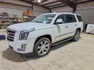 Cadillac Escalade 6.2L 8 2020