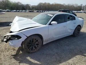 Dodge Charger 5.7L 8 2019