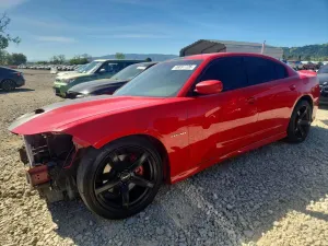 Dodge Charger 5.7L 8 2021