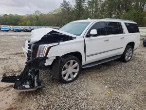 Cadillac Escalade 6.2L 8 2019