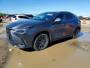 Lexus NX 2.5L 4 2023