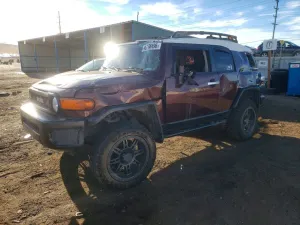 Toyota FJ Cruiser 4.0L 6 2007