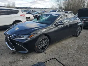 Lexus ES 2.5L 4 2024
