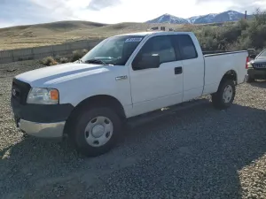 Ford F-150 4.6L 8 2005
