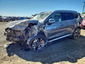 Hyundai Santa Fe 2.0L 4 2019
