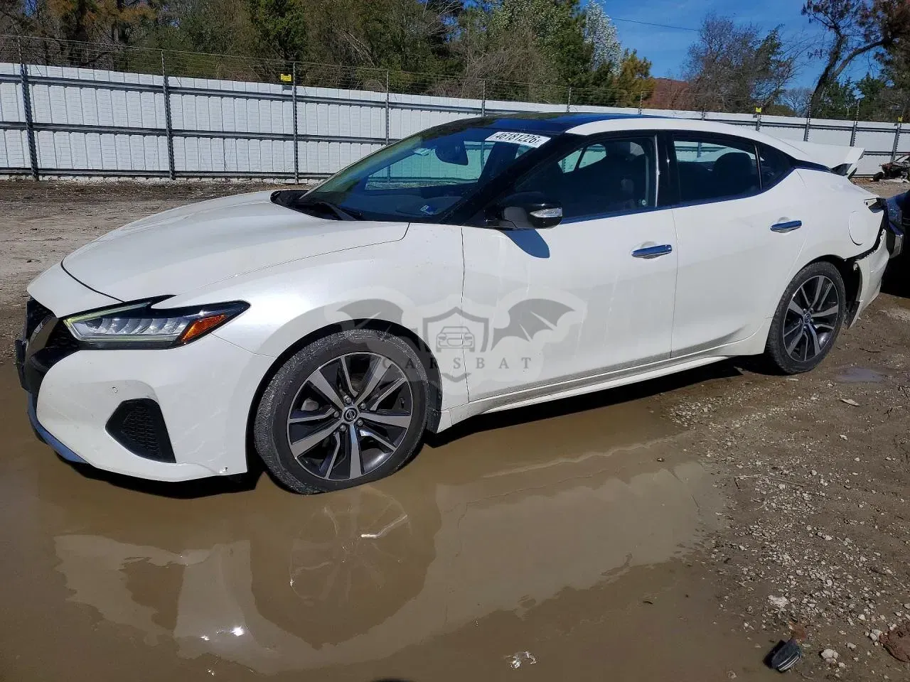 Nissan Maxima 2019