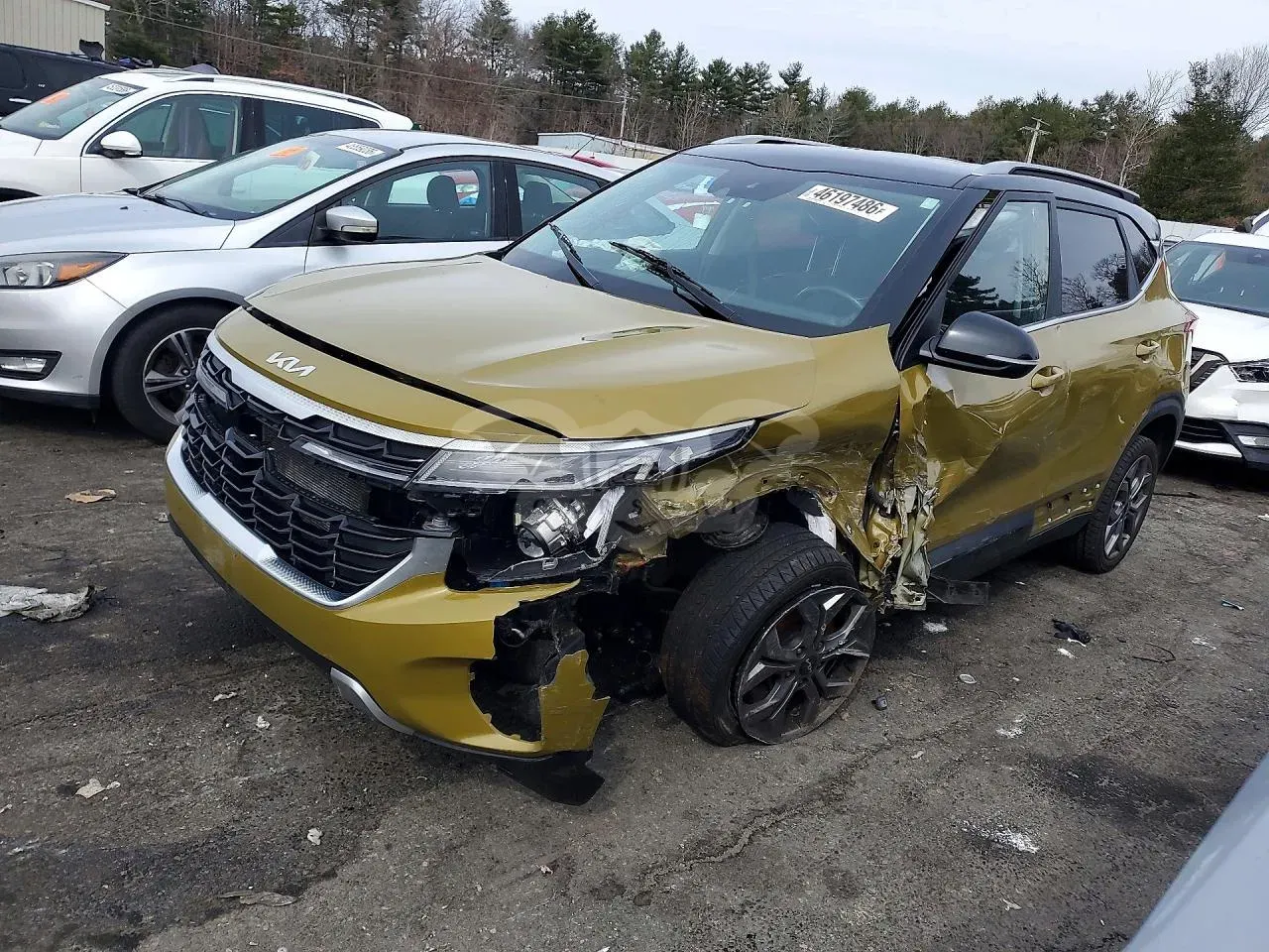 Kia Seltos 2024