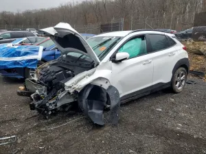 Hyundai Kona 2.0L 4 2022