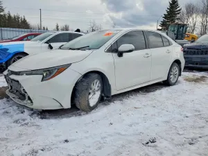 Toyota Corolla 1.8L 4 2020