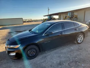 Chevrolet Malibu 1.5L 4 2019