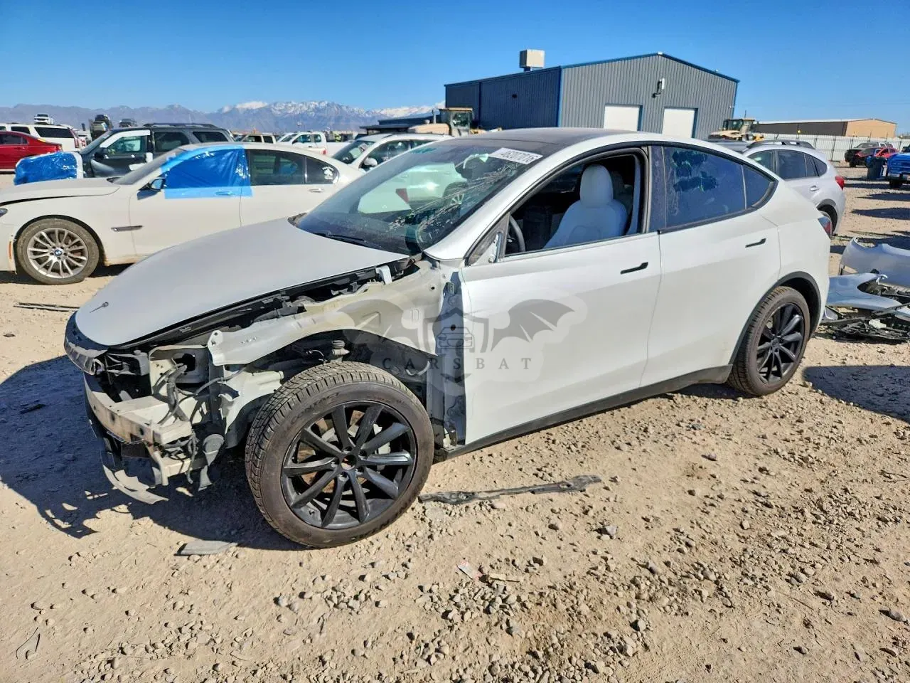 Tesla Model Y 2020