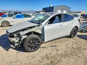 Tesla Model Y 2020