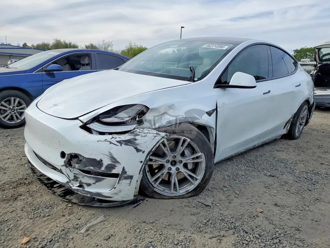 Tesla Model Y 2020