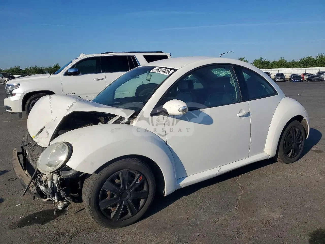 Volkswagen Beetle 2010