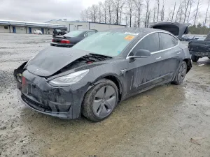 Tesla Model 3 2019