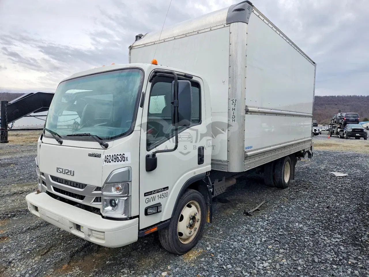 Isuzu NPR 6.6L 8 2024