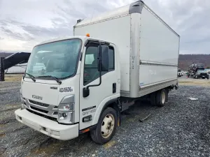 Isuzu NPR 6.6L 8 2024