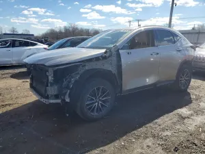 Lexus NX 2.4L 4 2022
