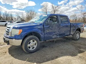 Ford F-150 4.6L 8 2010