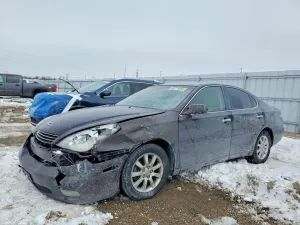 Lexus ES 3.3L 6 2004