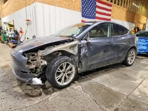 Tesla Model Y 2020