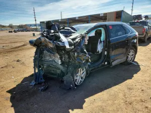 Ford Edge 2.0L 4 2021
