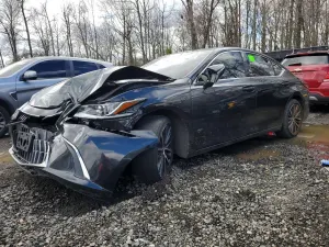 Lexus ES 3.5L 6 2024