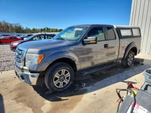 Ford F-150 4.6L 8 2010