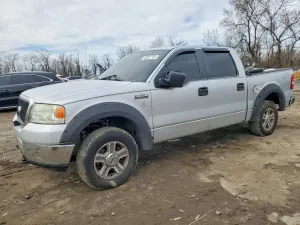 Ford F-150 4.6L 8 2008