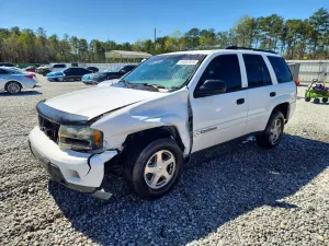 Chevrolet Trailblazer 4.2L 6 2003