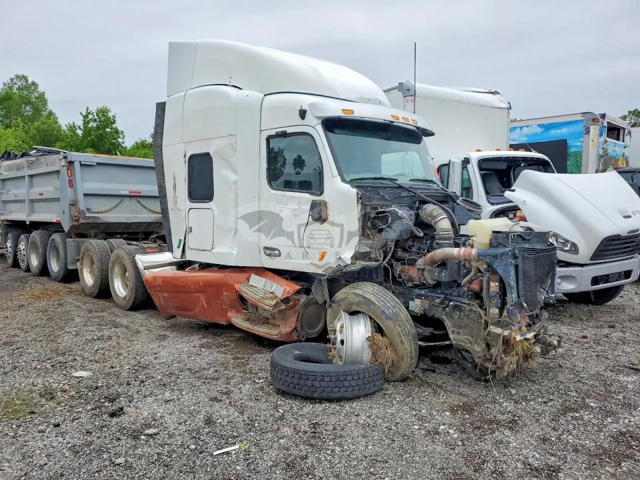 Peterbilt 567/579/587 12.9L 6 2019