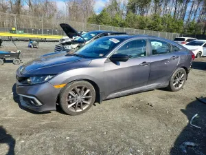 Honda Civic 1.5L 4 2019