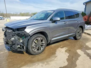 Hyundai Santa Fe 2.0L 4 2019
