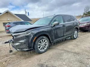 Honda CR-V 1.5L 4 2024