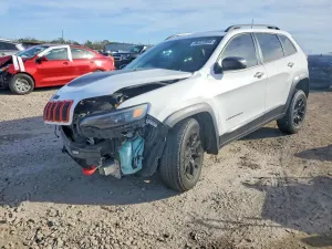 Jeep Cherokee 2.0L 4 2019