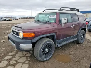 Toyota FJ Cruiser 4.0L 6 2007