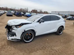 Lexus NX 2.0L 4 2020