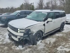 Hyundai Santa Fe 2.5L 4 2024