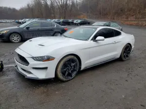 Ford Mustang 2.3L 4 2020