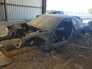 Dodge Challenger 6.4L 8 2022