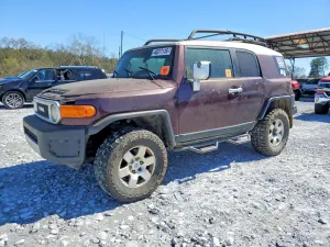 Toyota FJ Cruiser 4.0L 6 2007
