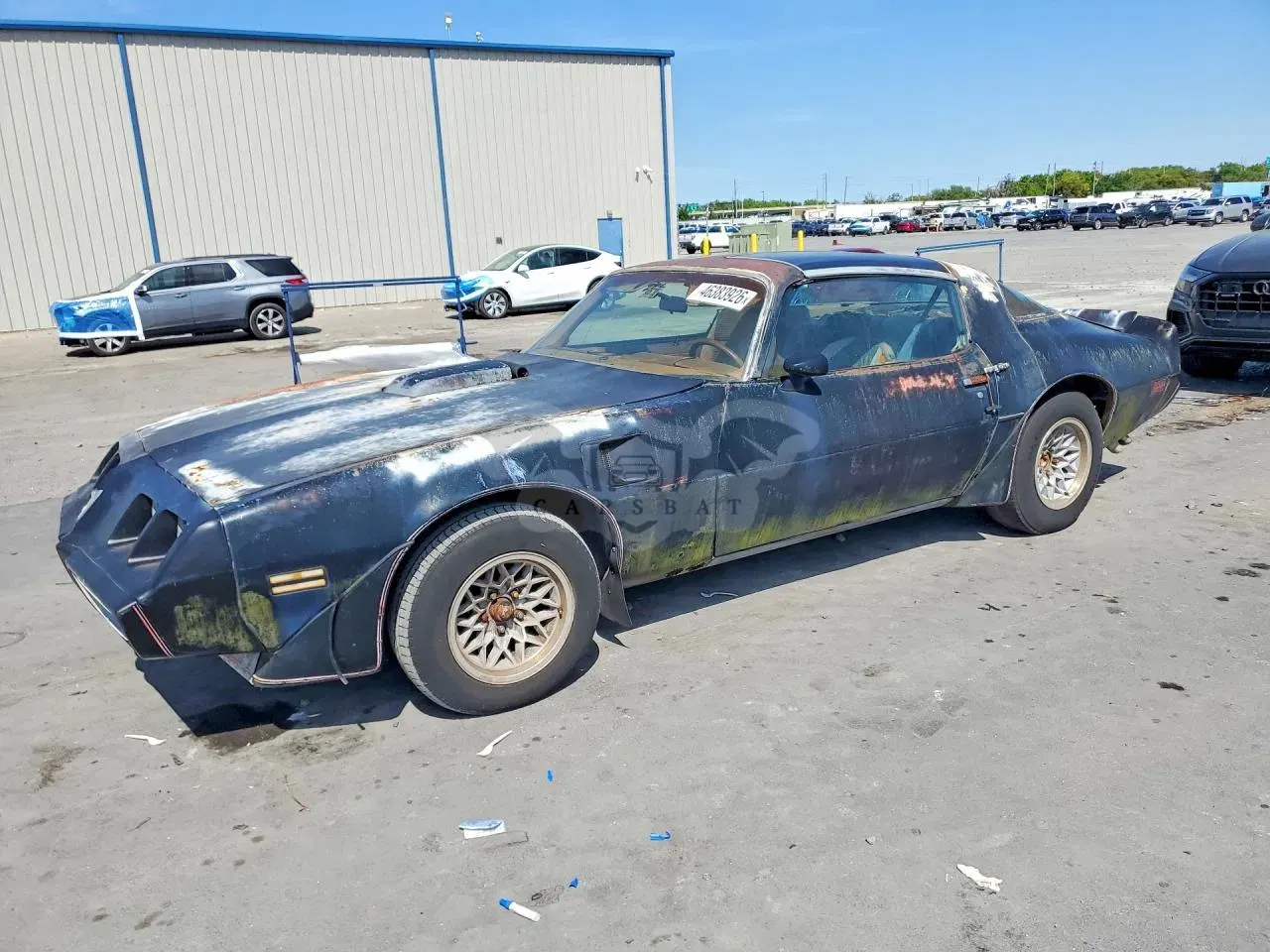 Pontiac Firebird 1979